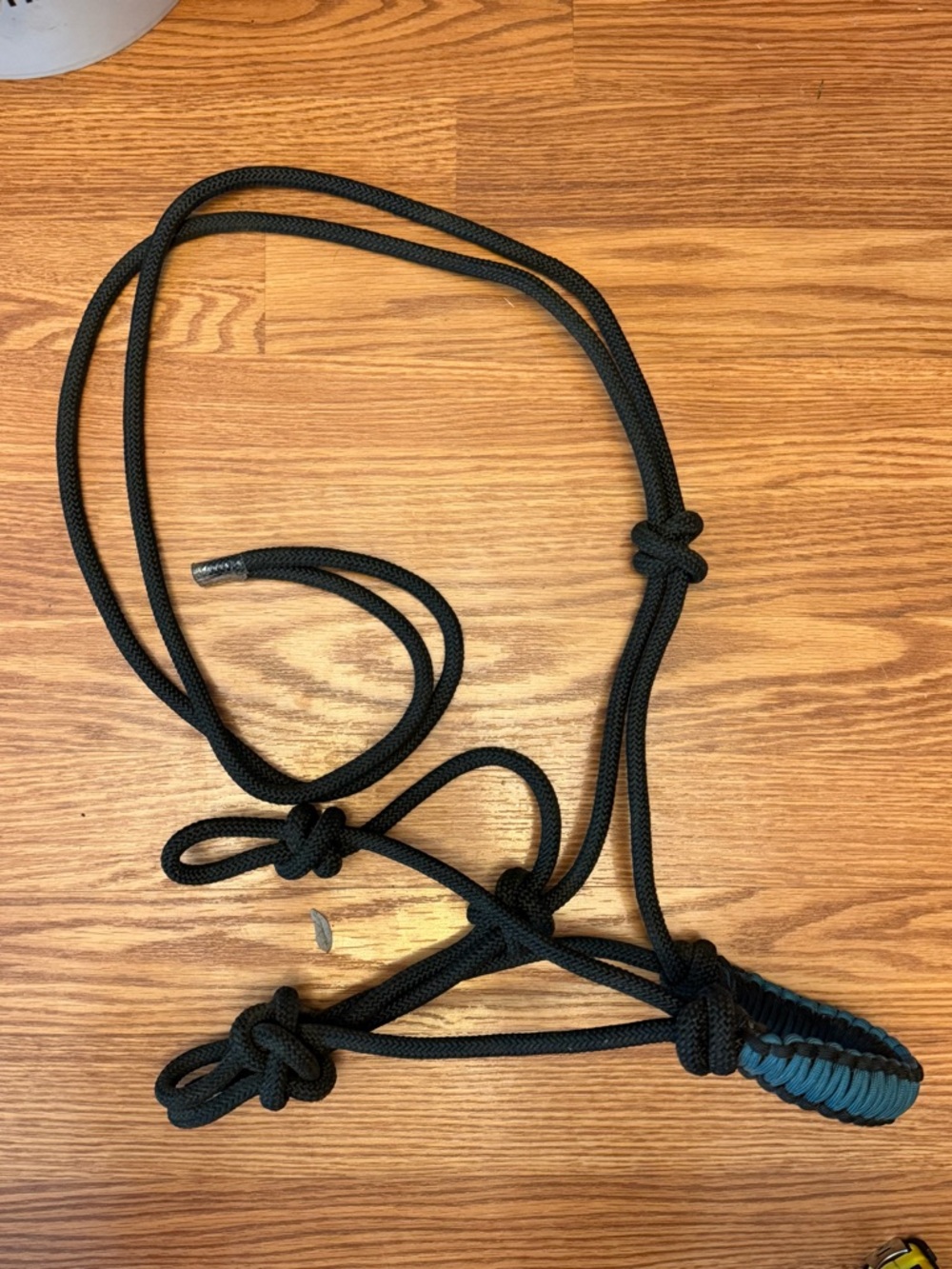 Rope halter horse black